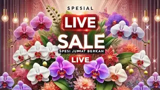 🔴LIVE SALE‼️ Jumat berkah gebyar diskon awal tahun😍🥳