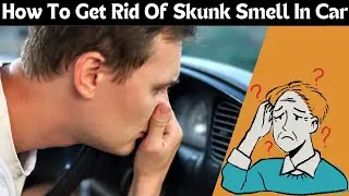 Eliminate Bad Skunk Odor Your Car in Minutes! 4 Easy Steps