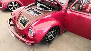 Festibug 21 ags