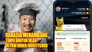 SEWA MESIN TAMBANG BISA CUAN MAKIN OK || APLIKASI PAW MINER - TAMBANG CRYPTO #crypto #bitcoinmining