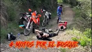 4 MOTOS 4 CHAVALES 1 BOSQUE