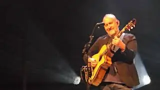 Colin Hay: 