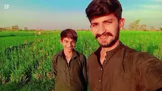 Punjabi culture   motorcycle per Patte lene ke liye Aaye Hue Hain patton ke talk Mein Aakar Baithe 