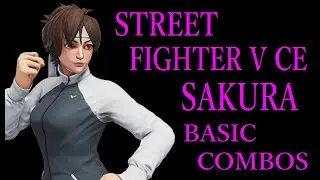 STREET FIGHTER V CE SAKURA BASIC COMBOS【スト5CE さくら 基礎コンボ】