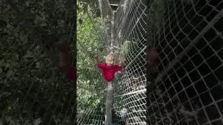 Exploring the Children&rsquo;s Garden!