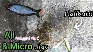 Aji & Micro Jig  