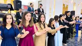 شاكر حلو ميراني حفلة ازهر و عيشان
