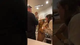 Their dog asked to dance with them ❤️