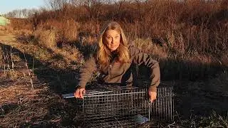 Double-Tuf Live Trap Instructions