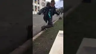 Spider donkey