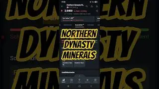 Northern Dynasty Minerals Aktie - Analyse #Pennystock