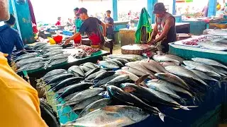BANYAK IKAN MAHAL DI JUWAL MURAH DI PASAR INI