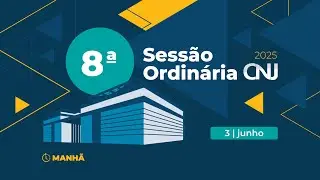 8ª Sessão Ordinária de 2025 - 3 de junho (Manhã)