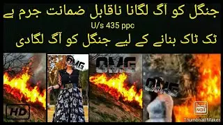 جنگل کو آگ لگانا ناقابل ضمانت جرم ہےunder section 435 PAKISTAN PENAL CODE