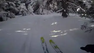 Skiing into a tree | Ski hitting a tree