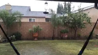 El Ni&ntilde;o featuring El Ni&ntilde;o