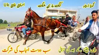 Charsi Malang Horse Try After Race Winning || Tanga Race || #shughalmela #horse #race
