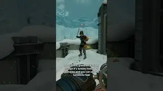 The Outer Worlds 2 &mdash; Бластер на груди