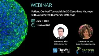 Patient-Derived Tumoroids in 3D Xeno-Free Hydrogel with Automated Biomarker Detection