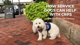 HOW SERVICE DOGS CAN HELP WITH CRPS