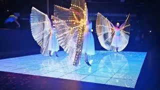 LED Wings Show in Gold/ Light of Dance live on stage