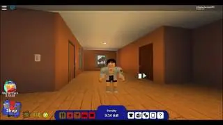 Rocitizens Codes for 2018-2019