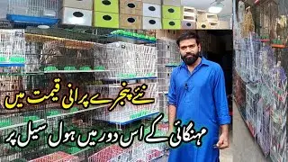 Cages shop visit| Cages shops latest update| lalukhet bird market| wholesale Cages Shop visit|