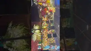 HAPPY NEW YEAR 2026 ||Flower Shop For New Year||So Beautiful || #flowers #flowerbasket #flowergarden