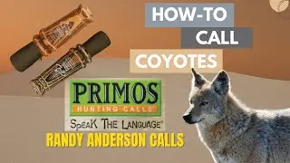 How To Call a Coyote with Primo's Randy Anderson Calls