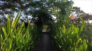 Maekok River Village Resort Walk