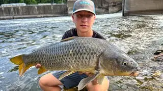 Downtown Minneapolis Spillway holds GIANTS! (Crazy Sight Fishing)