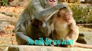 Very sad baby Janna so exhausted/ Mom Jane so furious slapping Janet milking BUT Janet not go out.