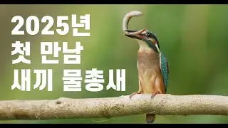 물총새(Common Kingfisher)_5.9K_#149