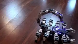 Bioloid Scorpion Robot - first video - Full 8 leg walking, stinger and pincers