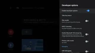 tv normal developer mode debugging pie