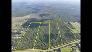 Various Tracts | FM 2802 | Orange Co., Texas