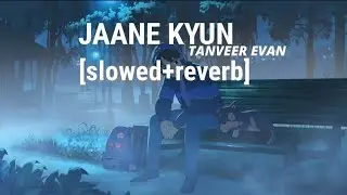 JAANE KYUN - TANVEER  EVAN (Slowed+reverb) | Mennu Bhool Na Jaave.