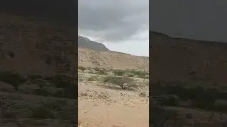 Oman Natural Beauty #Nature #Oman #Sur #muscat