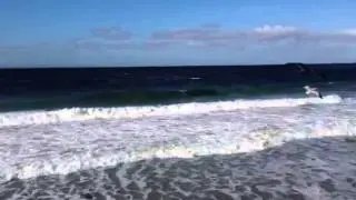 Pacific Edge Hotel Laguna Beach - Amazing View!!!