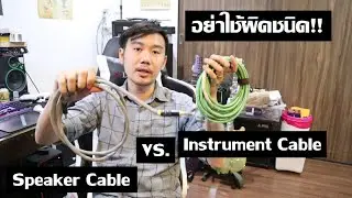 Speaker Cable VS Instrument Cable : อย่าใช้ผิดชนิด!