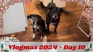 VLOGMAS 2024 - DAY 10 - PUPPY CRAFTS & AMAZON CONFUSION!