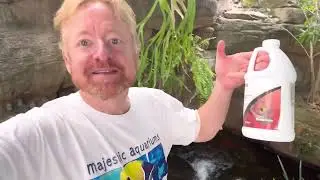 Pond water change to reduce Nitrate 