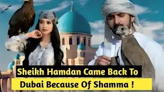 Шейх Хамдан вернулся в Дубай из-за Шаммы! | Шейх Хамдан Фазза Фаз3, наследный принц Дубая