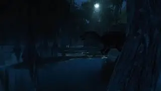 The Rise Of The Swamp In Our JWE3 Ecosystem EP4