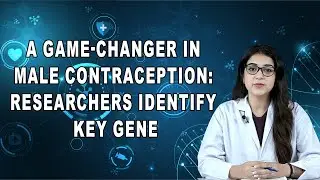 A Game-Changer in Male Contraception: Researchers Identify Key Gene