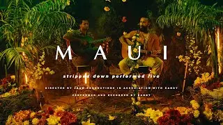 MAUI - Stripped Down Session