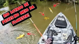 RIO PROÍBIDO NO MEIO DA MATA ATLÂNTICA!!!AQUI NÃO TEM ISCA E NEM PESCADOR RUIM.