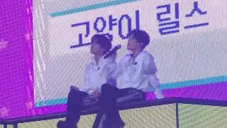 251102 엔시티위시 시온 리쿠 고릴 (아워위시 막콘)
