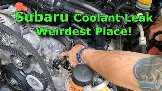 Fixing a Subaru Coolant Leak in the Most Unexpected Place