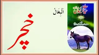 خچر - Mule